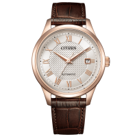 Citizen Collection NJ0252-05A