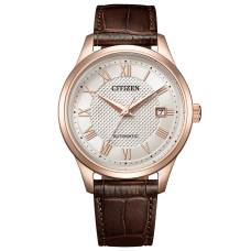 Citizen Collection NJ0252-05A