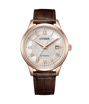 Citizen Collection NJ0252-05A