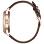 Citizen Collection NJ0252-05A