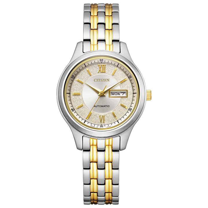 Citizen Collection PD7154-61P
