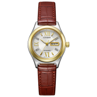 Citizen Collection PD7166-03A