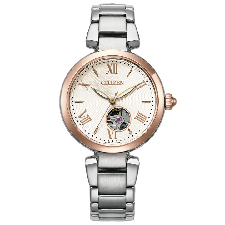 Citizen Collection Mechanical PR1054-59A