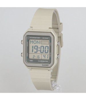 Casio Collection W-221H-8AJF